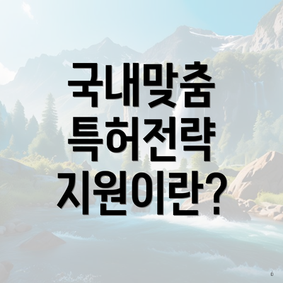 국내맞춤 특허전략 지원이란?