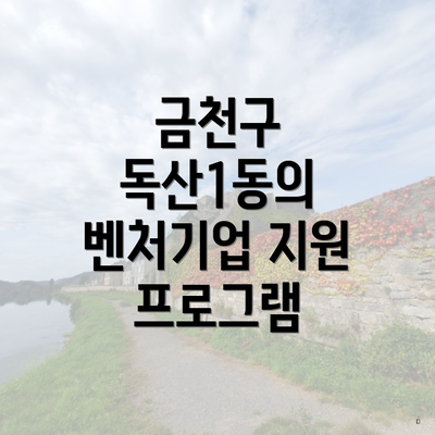 금천구 독산1동의 벤처기업 지원 프로그램