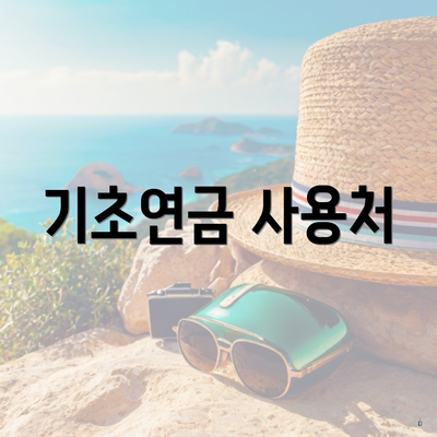 기초연금 사용처