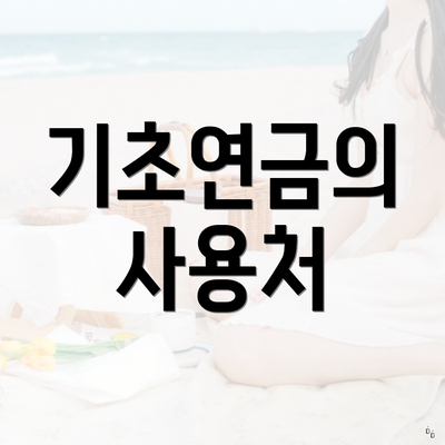 기초연금의 사용처