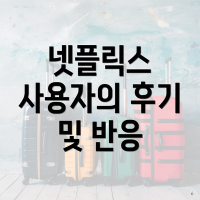 넷플릭스 사용자의 후기 및 반응