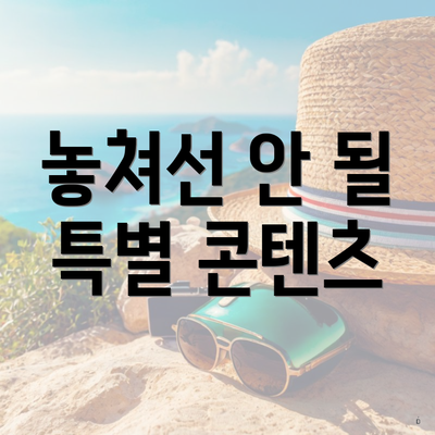 놓쳐선 안 될 특별 콘텐츠
