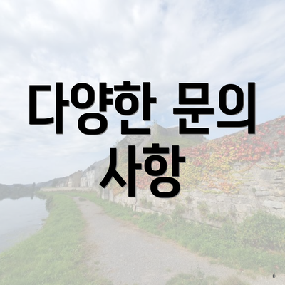 다양한 문의 사항