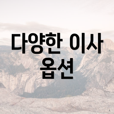 다양한 이사 옵션