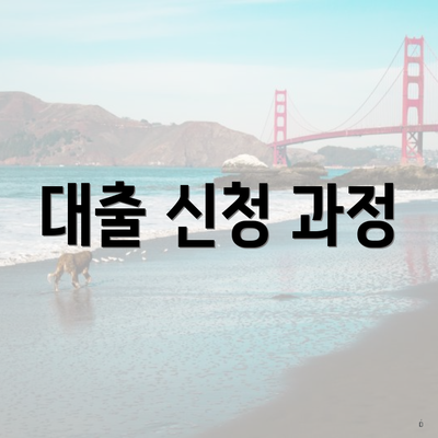 대출 신청 과정