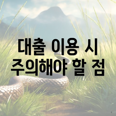대출 이용 시 주의해야 할 점