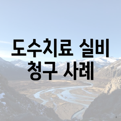 도수치료 실비 청구 7 도수치료 실비 청구 사례