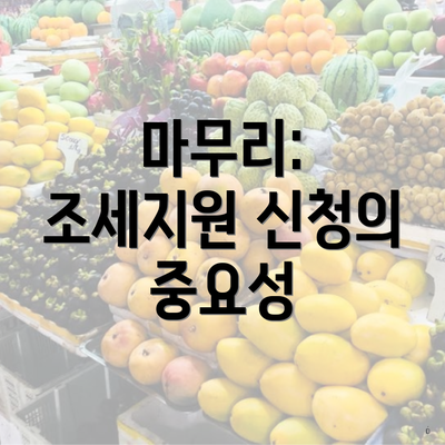 마무리: 조세지원 신청의 중요성