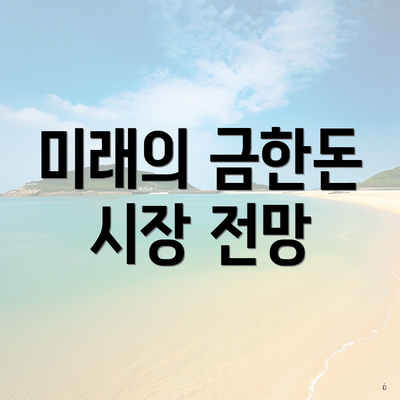 미래의 금한돈 시장 전망