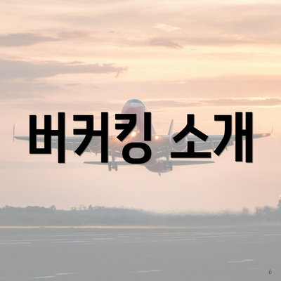 버커킹 소개