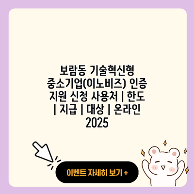 보람동 기술혁신형 중소기업이노비즈 인증 지원 신청 사용처 한도 지급 대상 온라인 2025 resized