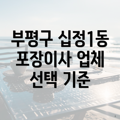 부평구 십정1동 포장이사 업체 선택 기준