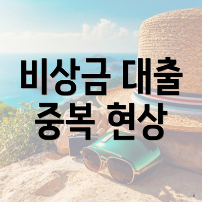 비상금 대출 중복 3 비상금 대출 중복 현상