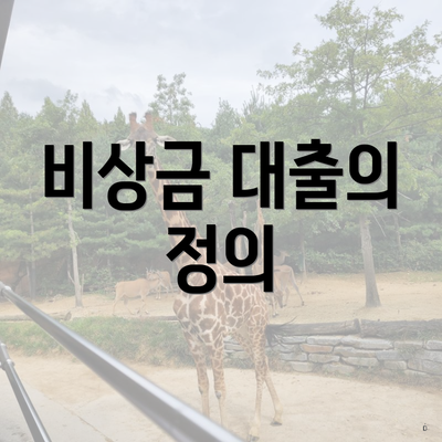 비상금 대출의 정의