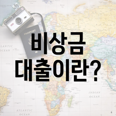 비상금 대출이란?