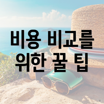 비용 비교를 위한 꿀 팁