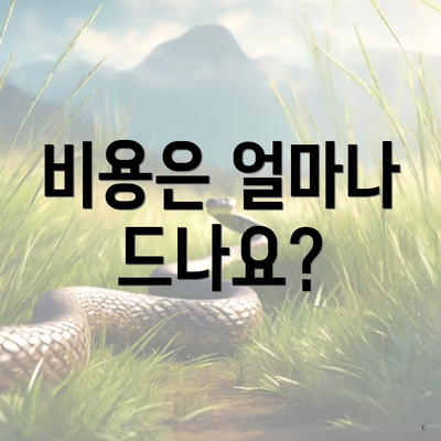 비용은 얼마나 드나요?