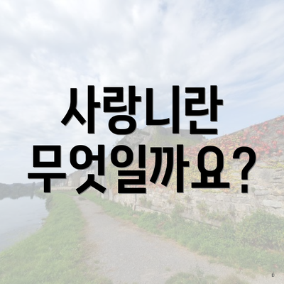 사랑니란 무엇일까요?