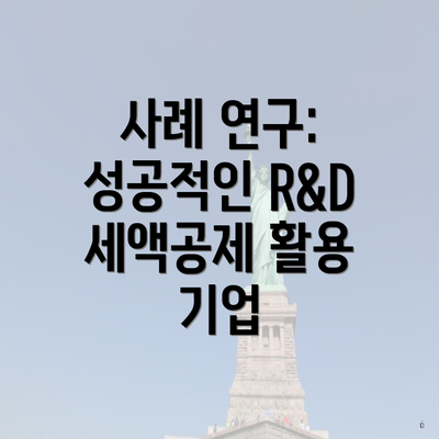 사례 연구: 성공적인 R&D 세액공제 활용 기업