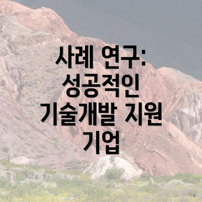 사례 연구: 성공적인 기술개발 지원 기업