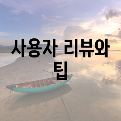 사용자 리뷰와 팁