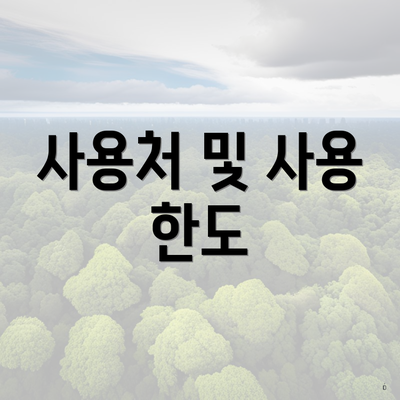 사용처 및 사용 한도