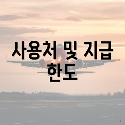 사용처 및 지급 한도