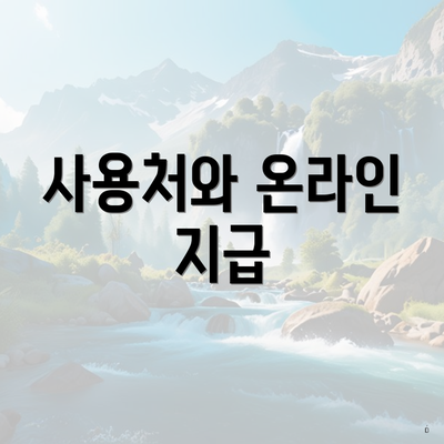 사용처와 온라인 지급