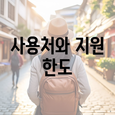 사용처와 지원 한도