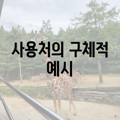 사용처의 구체적 예시