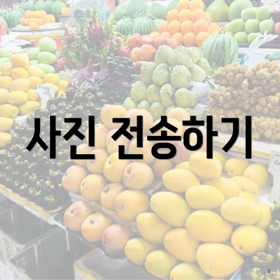 사진 전송하기