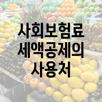 사회보험료 세액공제의 사용처