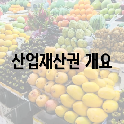 산업재산권 개요
