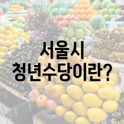 서울시 청년수당이란?