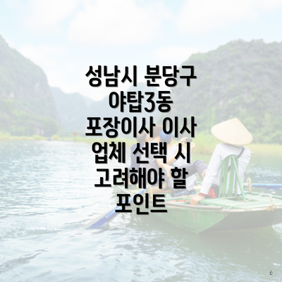 성남시 분당구 야탑3동 포장이사 이사 업체 선택 시 고려해야 할 포인트