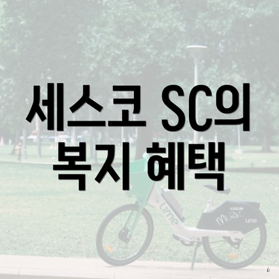 세스코 SC의 복지 혜택