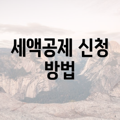 세액공제 신청 방법