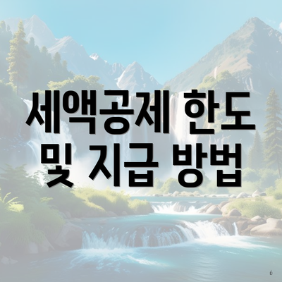 세액공제 한도 및 지급 방법