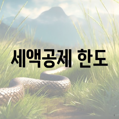 세액공제 한도