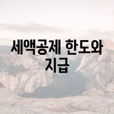 세액공제 한도와 지급