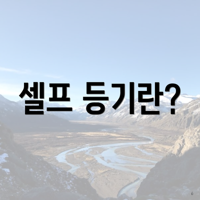 셀프 등기란?