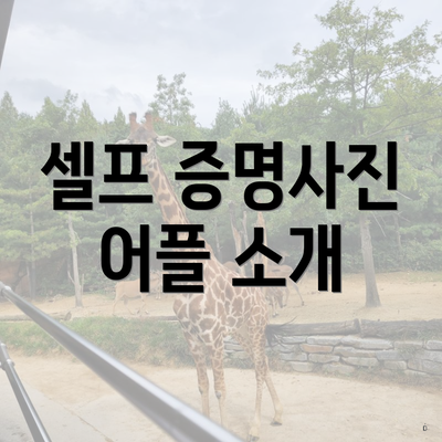 셀프 증명사진 어플 소개