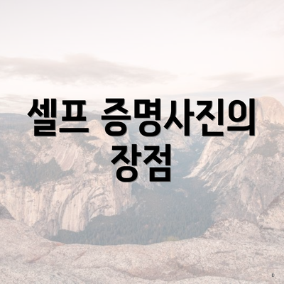 셀프 증명사진 어플로 무료로 만드는 방법 3 셀프 증명사진의 장점