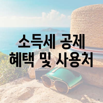 소득세 공제 혜택 및 사용처