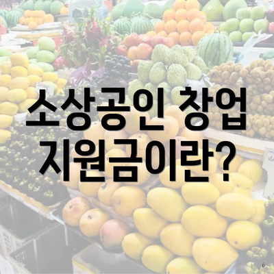 소상공인 창업 지원금이란?