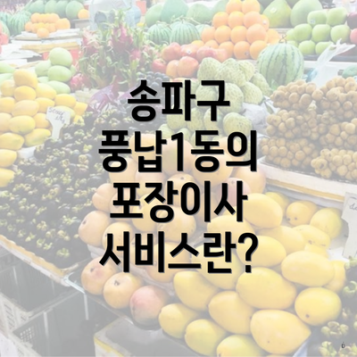 송파구 풍납1동의 포장이사 서비스란?