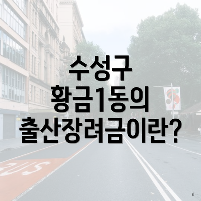 수성구 황금1동의 출산장려금이란?