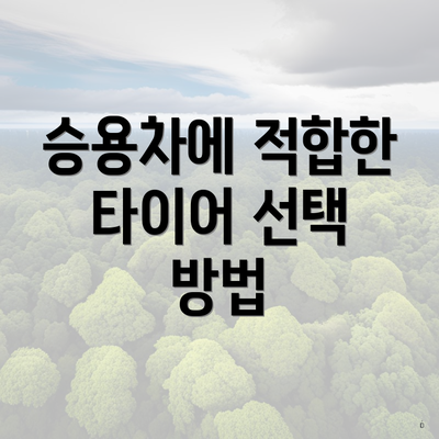 승용차에 적합한 타이어 선택 방법
