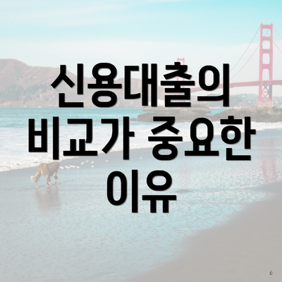 신용대출의 비교가 중요한 이유