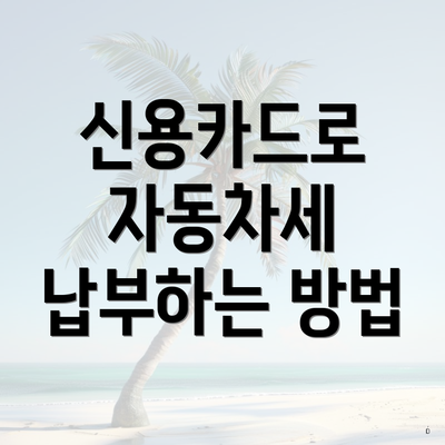 신용카드로 자동차세 납부하는 방법
